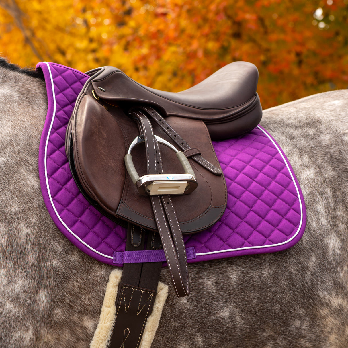 Shedrow Original Saddle Pad 2.0
