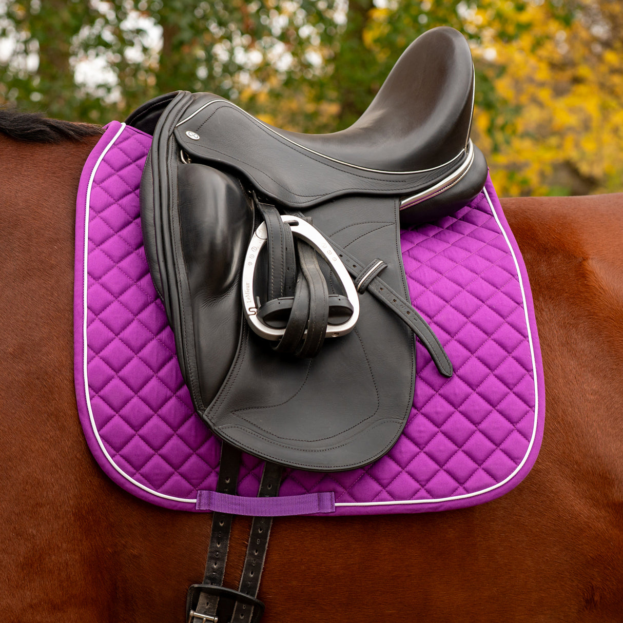 Shedrow Original Dressage Saddle Pad 2.0