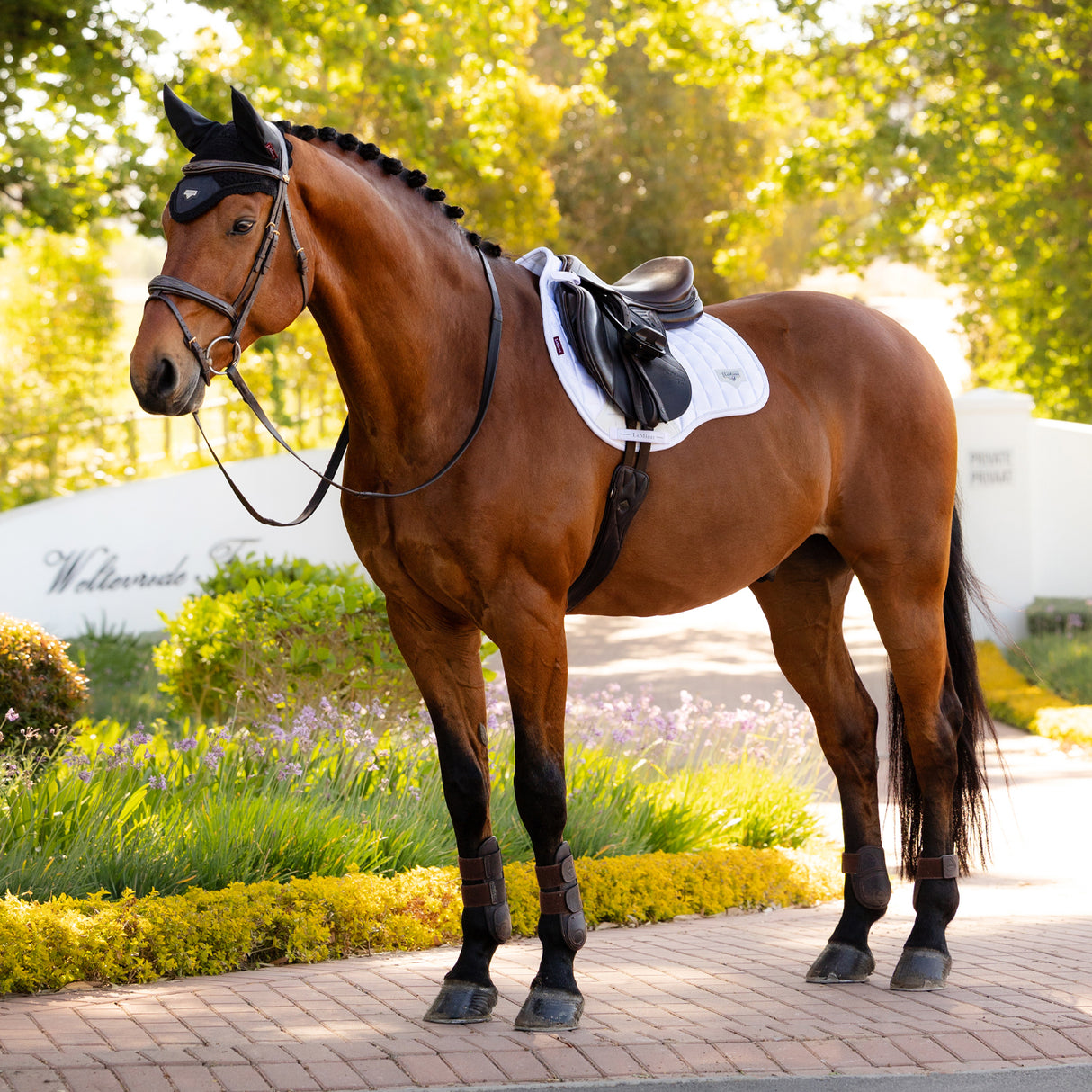 LeMieux Loire Dressage Saddle Pad