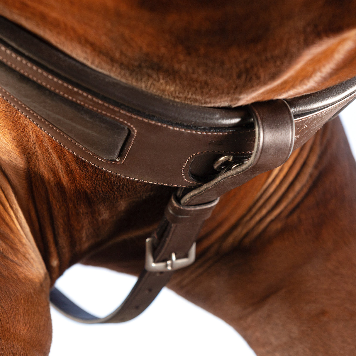 Rambo Micklem Breastplate