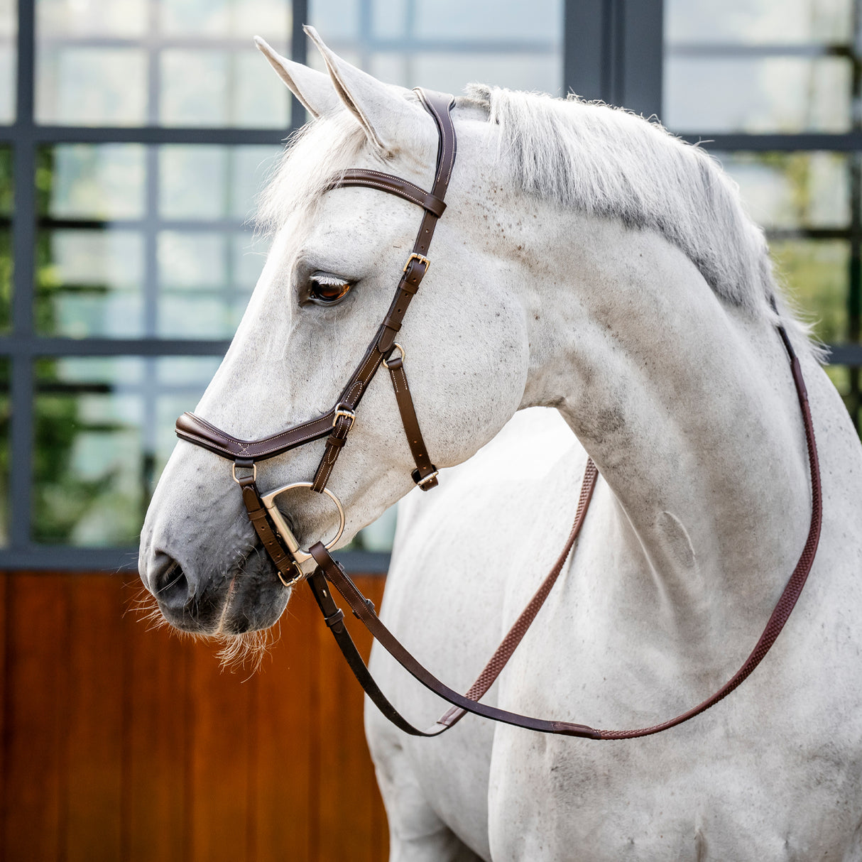 Rambo Micklem Deluxe Competition Bridle