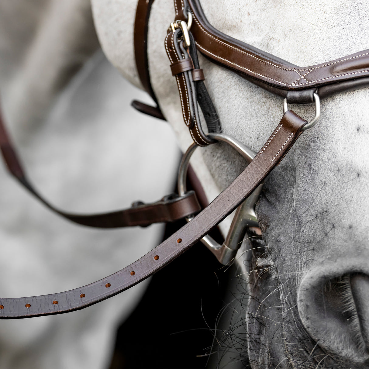 Rambo Micklem Deluxe Competition Bridle