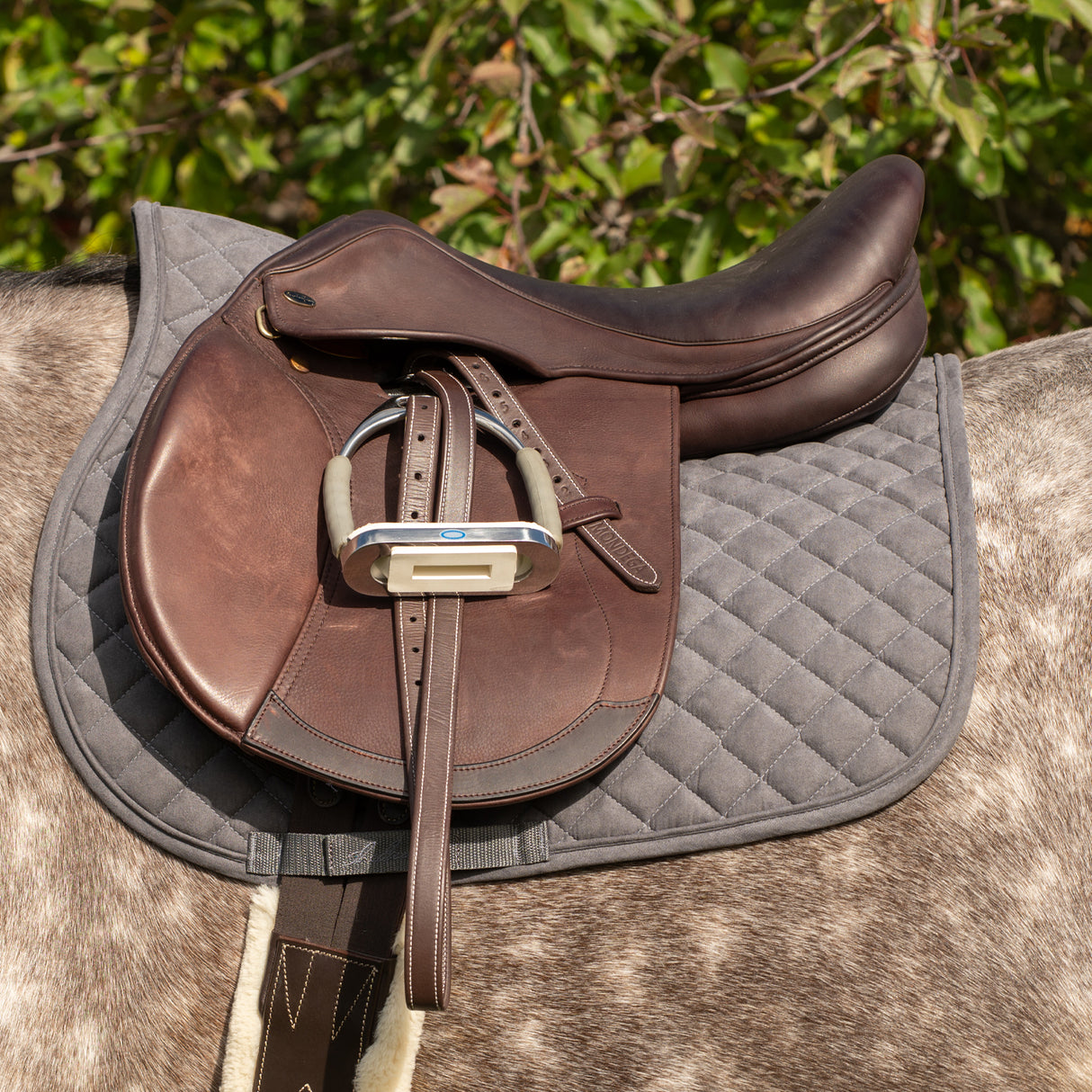 Shedrow Stryde Saddle Pad