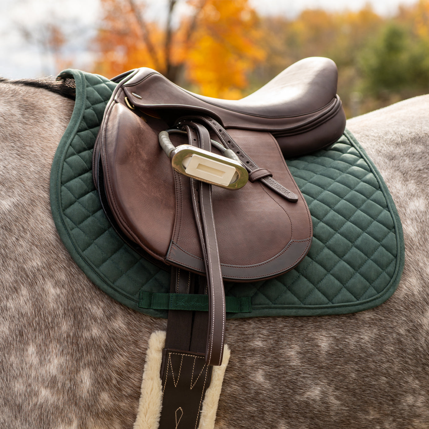 Shedrow Stryde Saddle Pad – Greenhawk USA