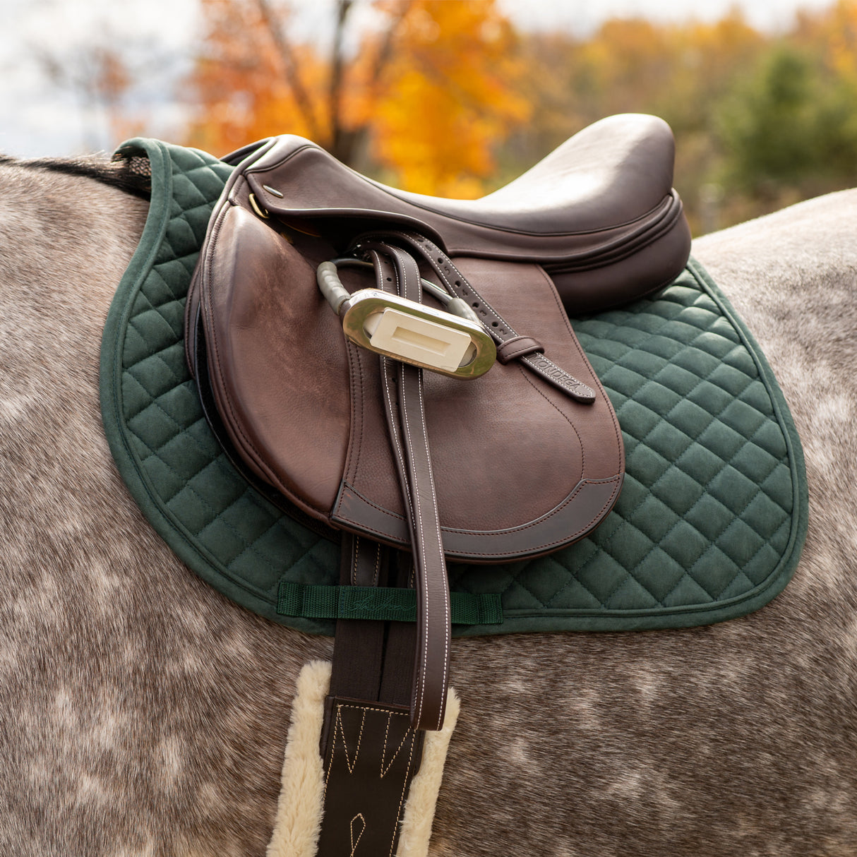 Shedrow Stryde Saddle Pad