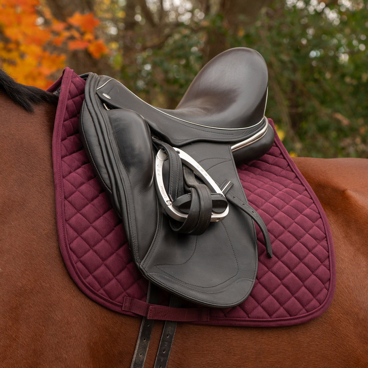 Shedrow Stryde Dressage Saddle Pad