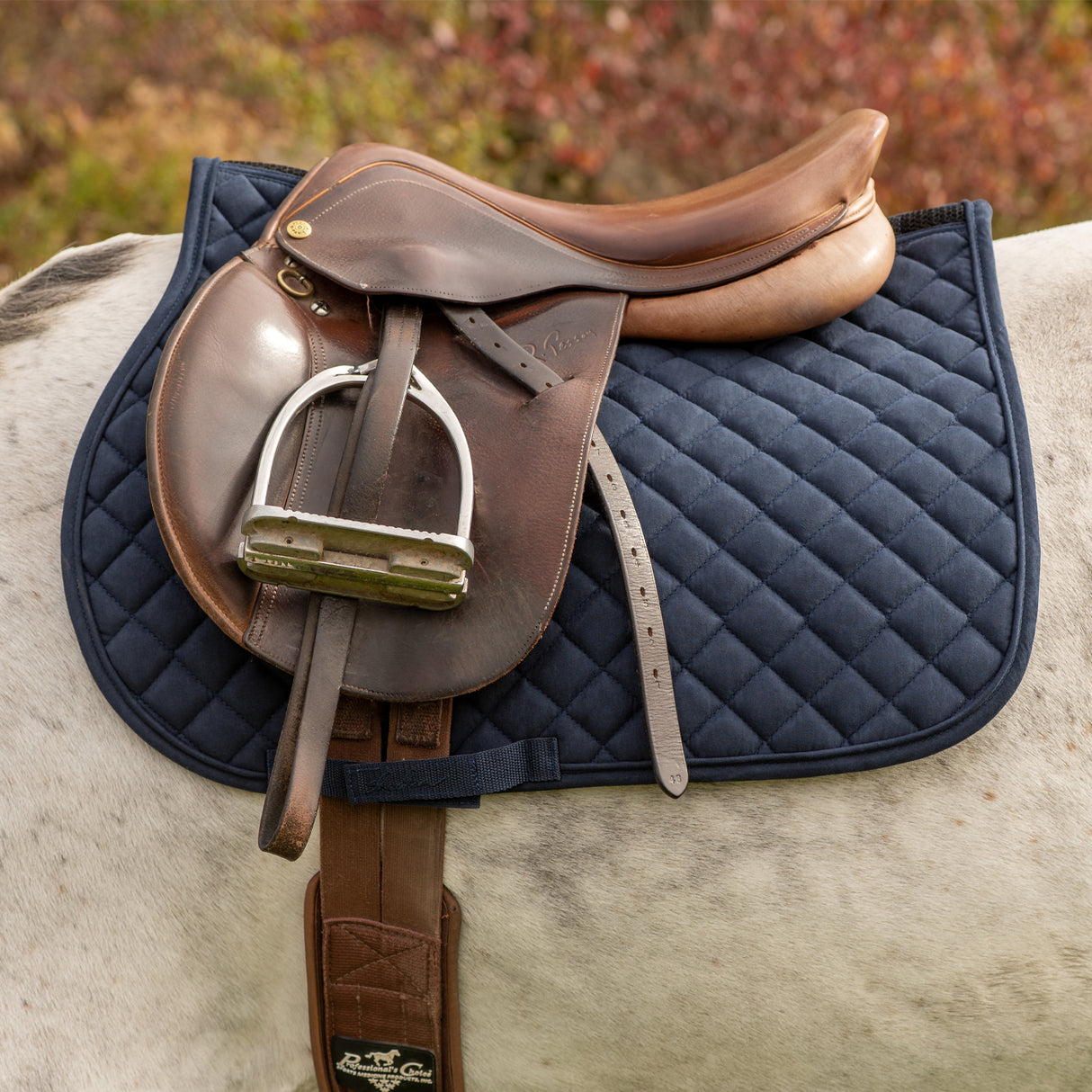 Shedrow Stryde Pony Saddle Pad