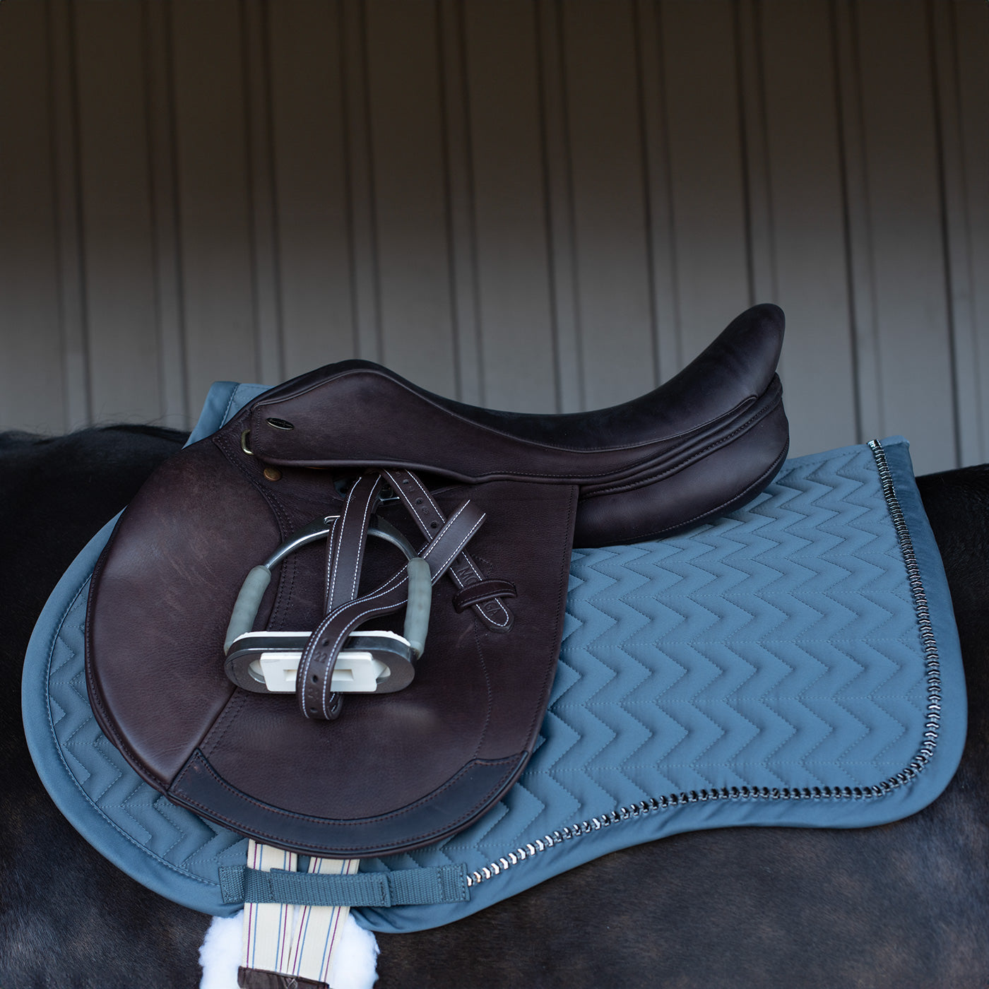 Shedrow Saber Saddle Pad