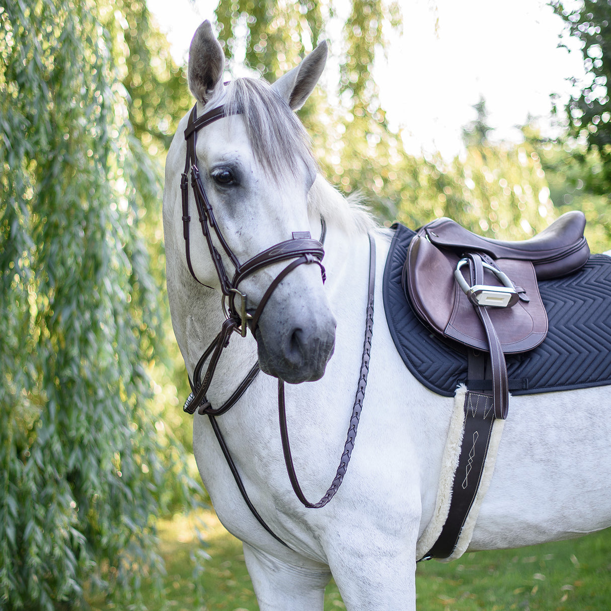 Mondega Standing Martingale
