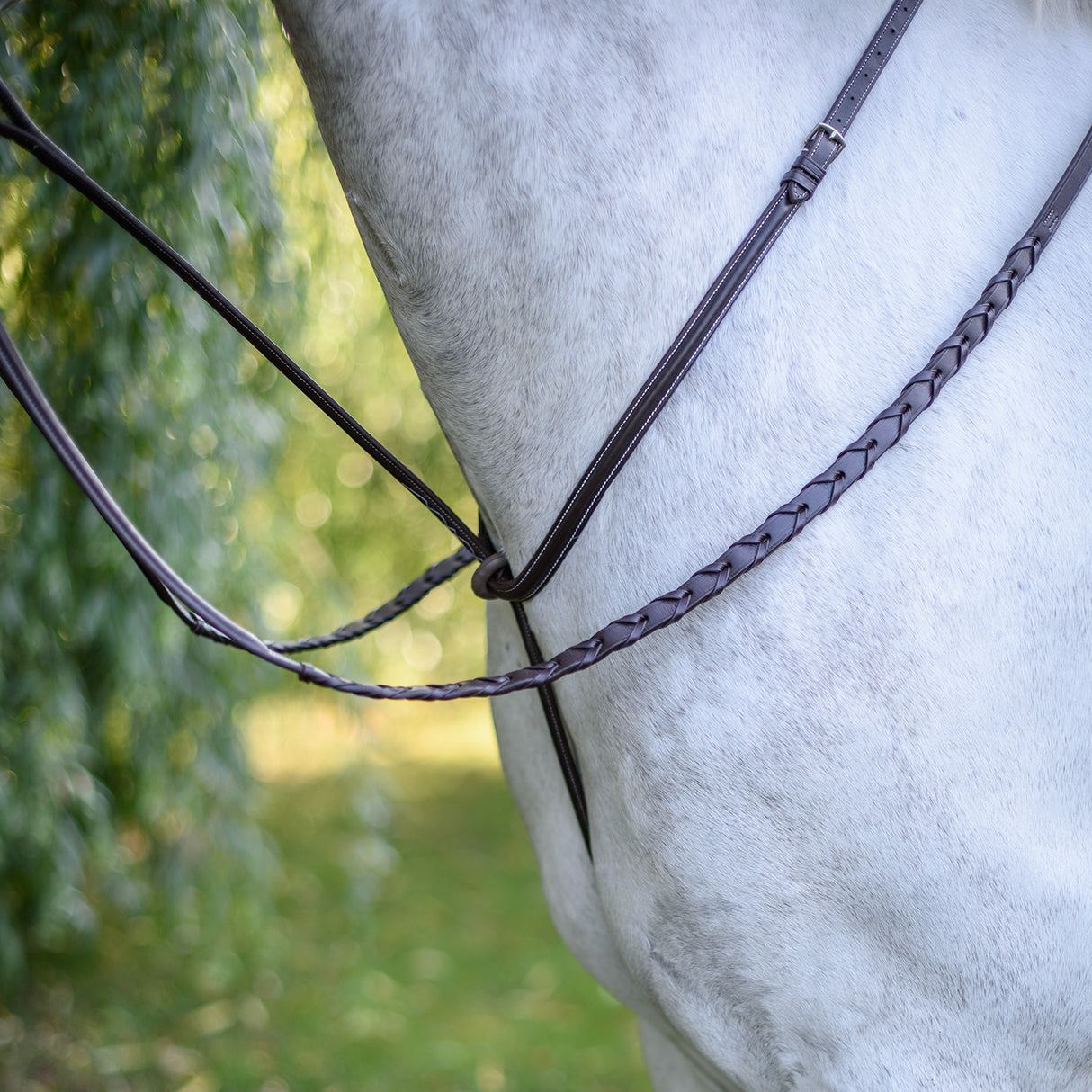 Mondega Standing Martingale