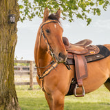 Royal King Flared Two Tone Floral Cowhide Headstall