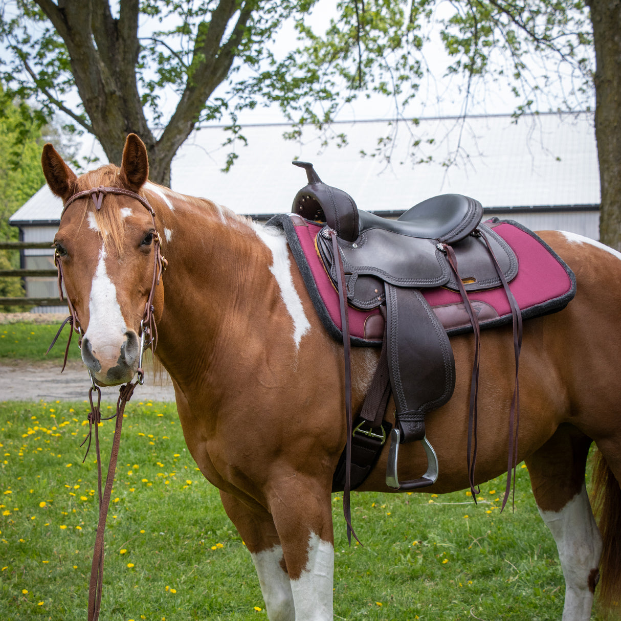 Diamond Wool Contoured Ranch Saddle Pad