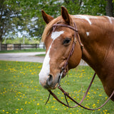 Copper Canyon Harness Leather Futurity Knot Headstall W/ Ties