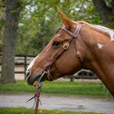 Copper Canyon Harness Leather Futurity Knot Headstall W/ Ties