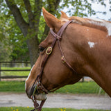 Copper Canyon Harness Leather Futurity Knot Headstall W/ Ties
