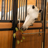 Holland James Turtle Horse Toy