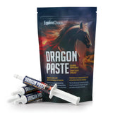 Equine Choice Dragon Paste 1 oz. - Pack of 4