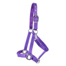Supra Neoprene Padded W/ Breakaway Halter