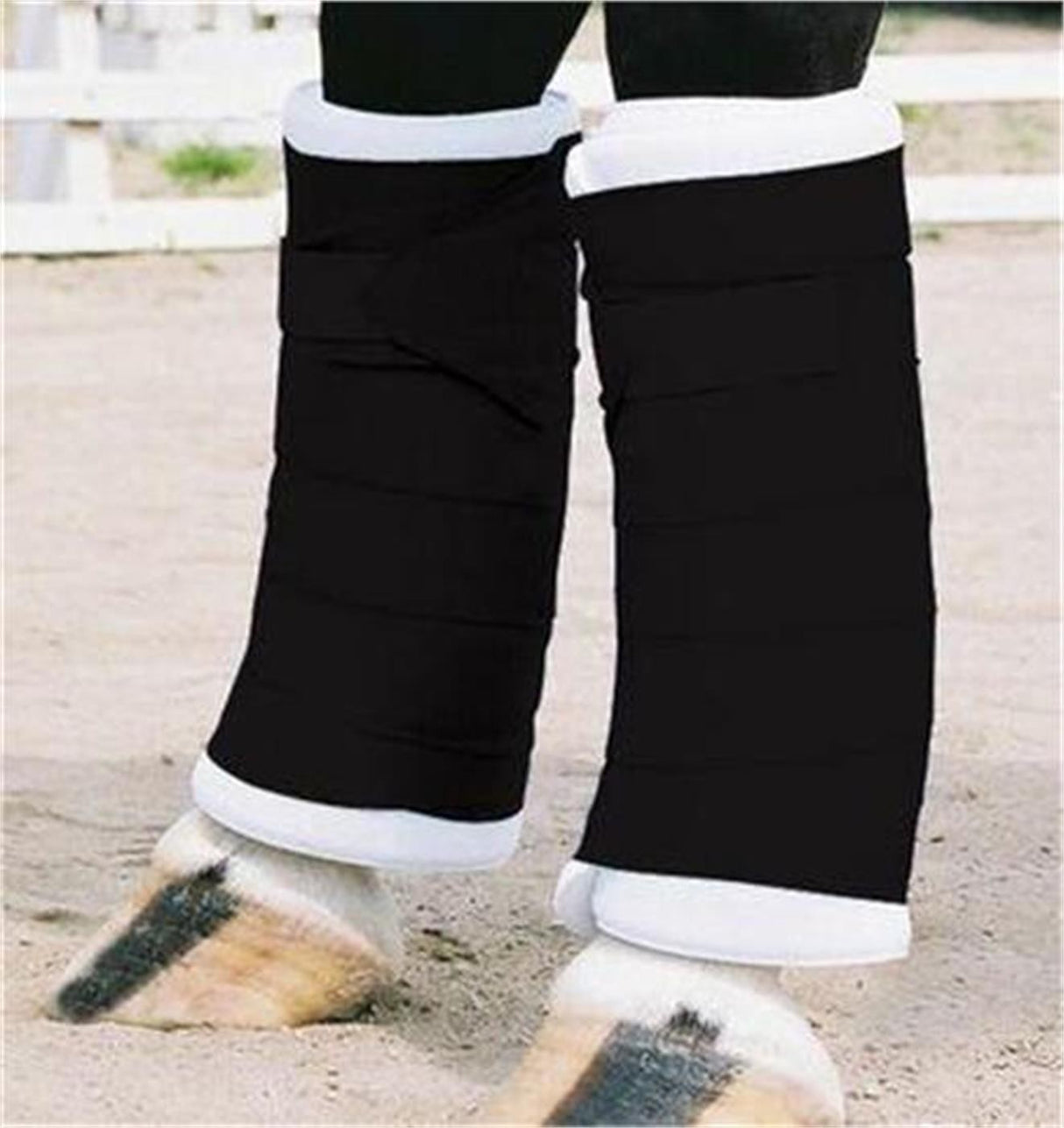 Shedrow Standing Bandages