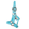 Supra Adjustable Mini Halter W/ Breakaway
