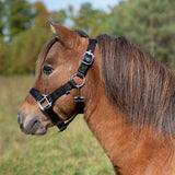 Supra Mini Halter W/ Breakaway
