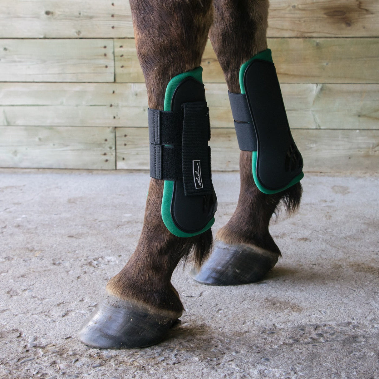 Shedrow Open Front Boots W/ Colored Lining