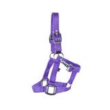 Supra Mini Halter W/ Breakaway
