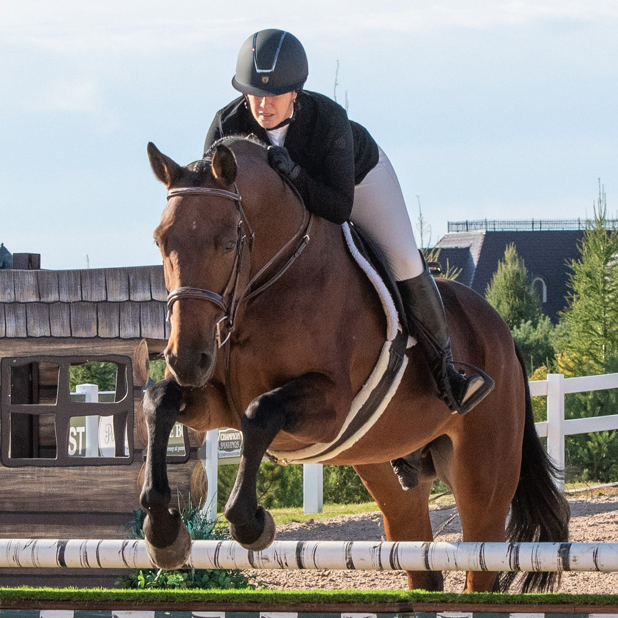 Elation Platinum Vicenza Show Jacket