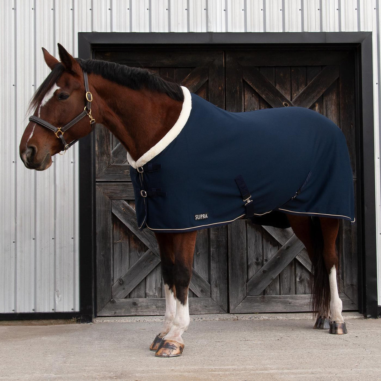 Shedrow Soft Shell Cooler