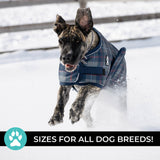 Shedrow K9 Expedition Dog Coat