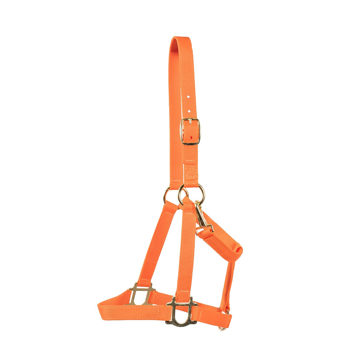 Supra Stable Halter