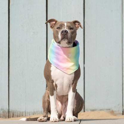 Canada Pooch Chill Seeker Dog Cooling Bandana