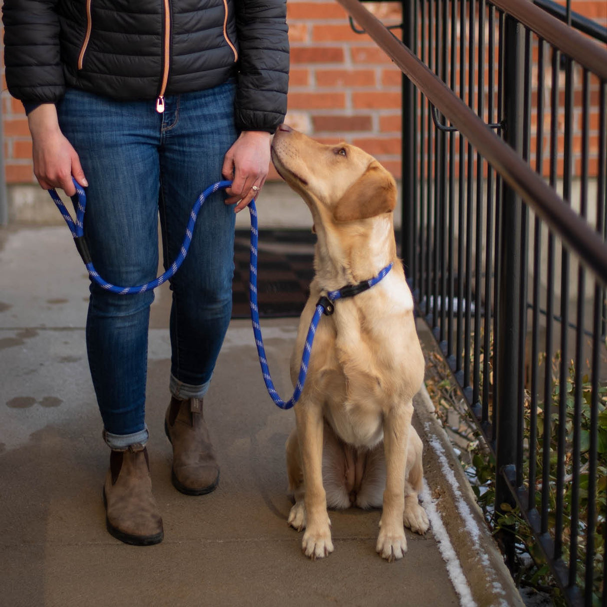 Shedrow K9 Camino Rope Slip Leash