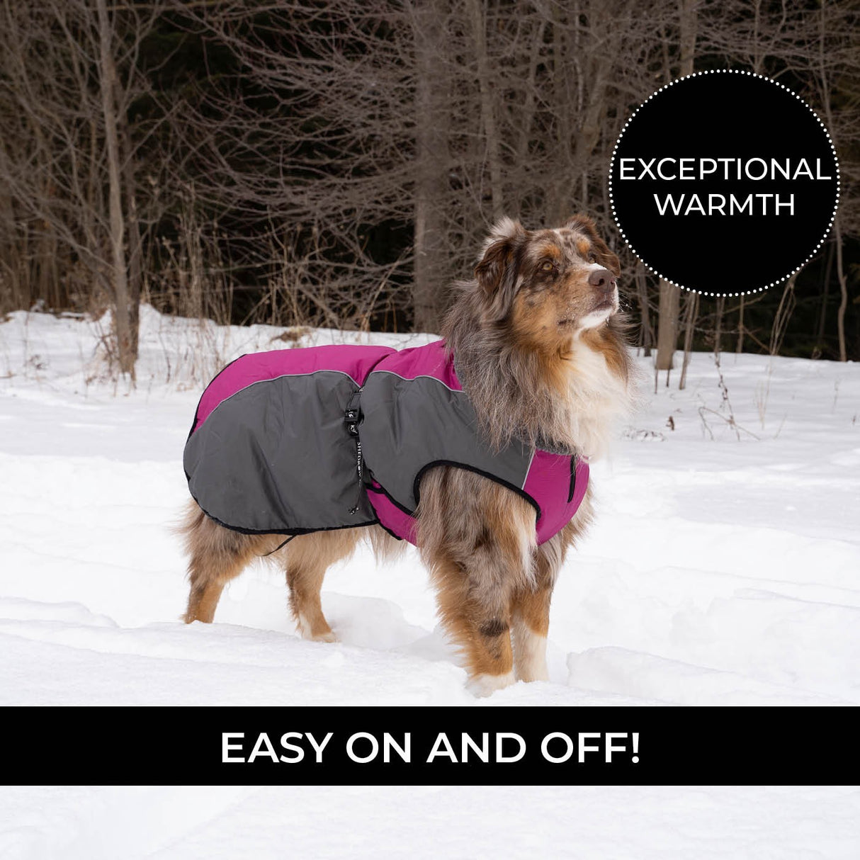 Shedrow K9 Chinook Dog Coat