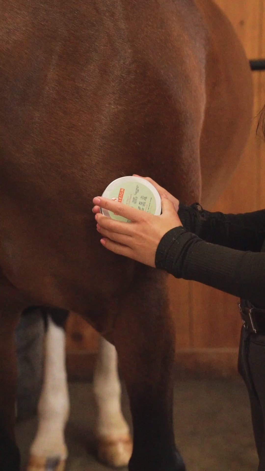 Kingsleigh Equine Healing Balm 8.8 oz.