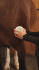 Kingsleigh Equine Healing Balm 8.8 oz.