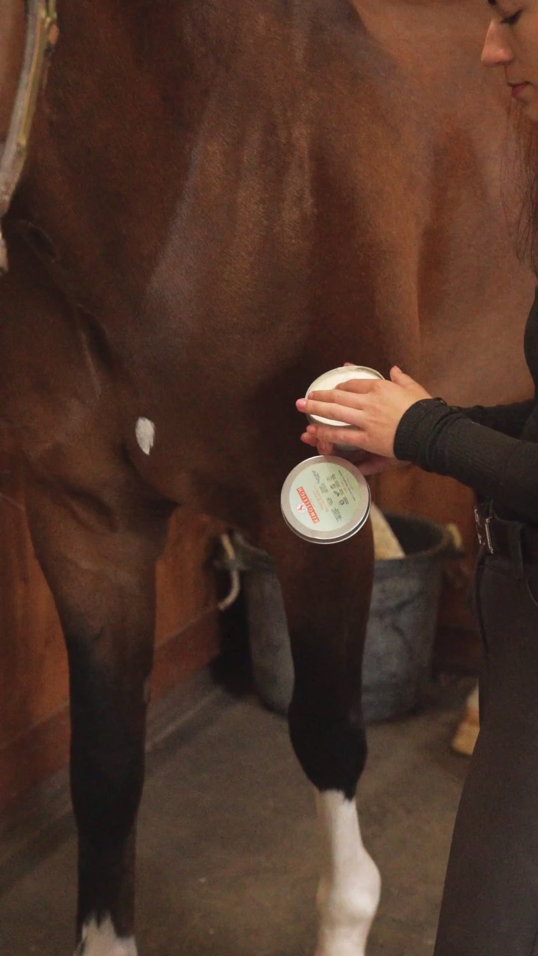 Kingsleigh Equine Healing Balm 8.8 oz.