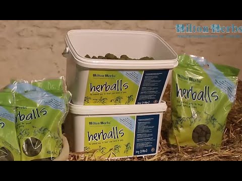 Herballs All Natural Oregano & Mint Horse Treats 1.1 lb.