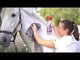 Leovet Shiny White Stain Eraser Spray 18.6 oz