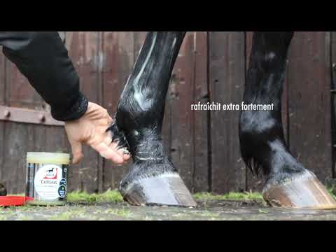 Leovet Cellsius Gel 20.3 oz.
