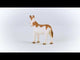 Schleich Farm World American Spotted Donkey