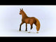 Schleich Horse Club Paso Peruano Mare