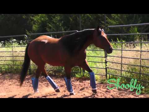 Shoofly Leggins Horse Boots
