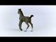 Schleich Horse Club Cheval Selle de Francais Foal