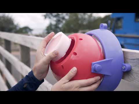 Likit Tongue Twister Complete Horse Toy