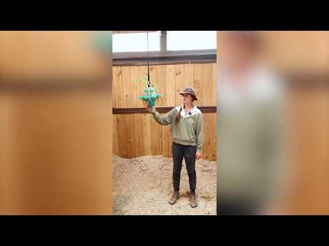 PetKore Equine Clover Ball
