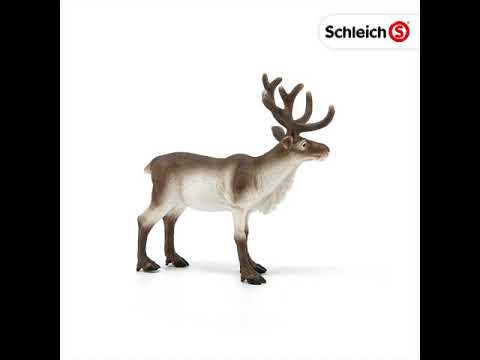 Schleich Wild Life Reindeer