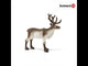 Schleich Wild Life Reindeer