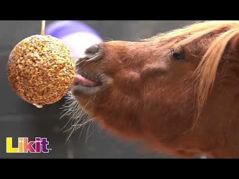 Likit Granola Apple Stall Ball Horse Treat 3.53 lb.