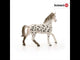 Schleich Horse Club Knabstrupper Stallion